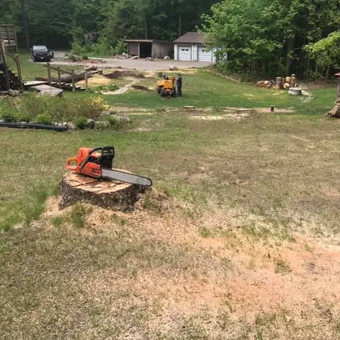 Yellow stump grinder parked beside a freshly cut stump