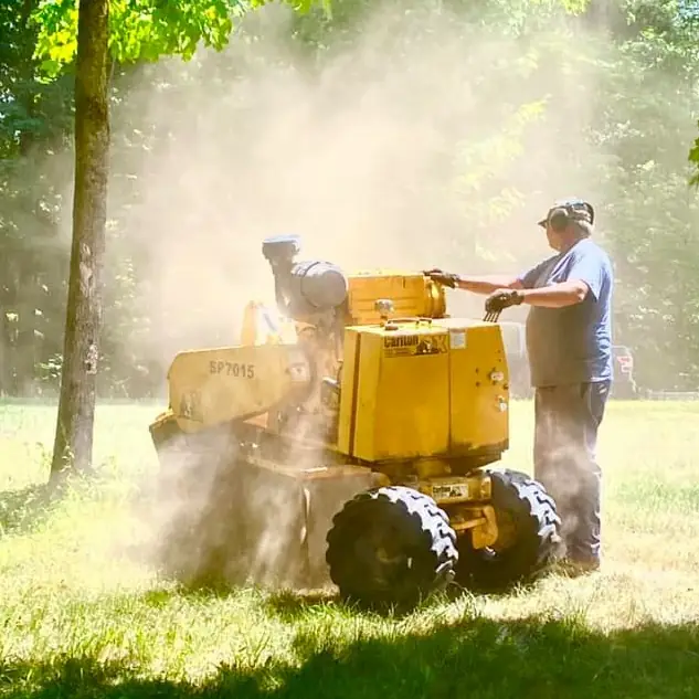 Glen operating a yellow stump grinder in bright sunlight