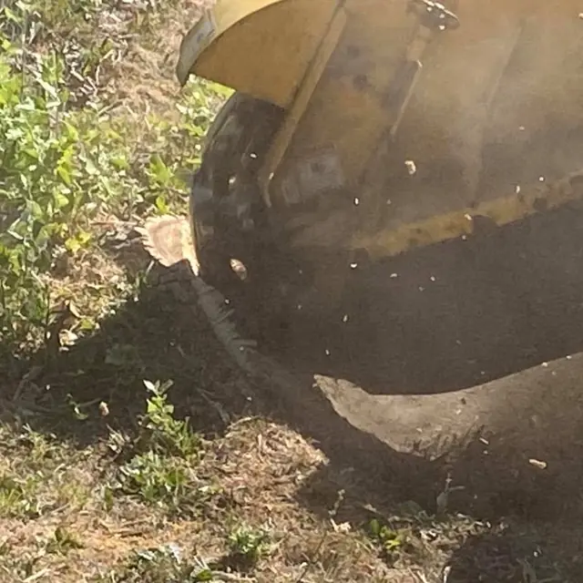 Close view of a stump grinder cutting through a stump